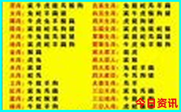 珠海长隆两天一夜游玩攻略